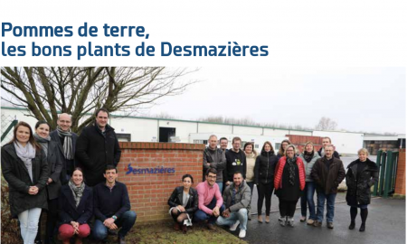 grand arras - pommes de terre, les bons plants de desmazieres