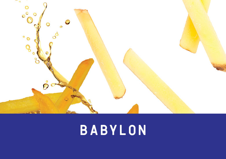 DESMAZIERES présente Babylon, la frite mania